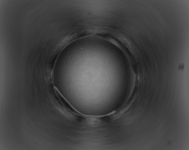 X0000091460429200708301835