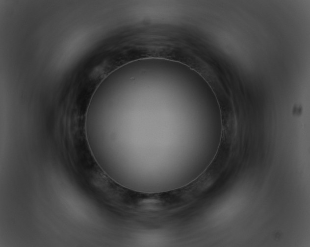 X0000091460430200708301835