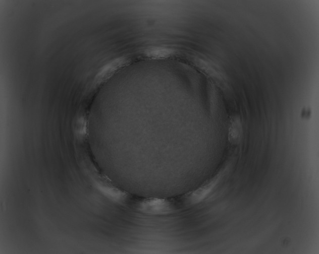 X0000091460431200708301835