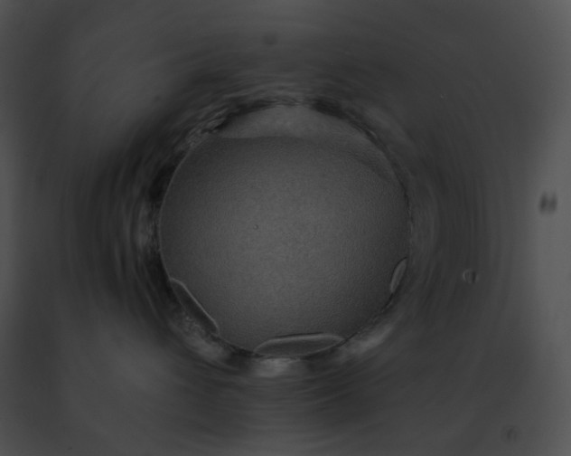 X0000091460432200708301835