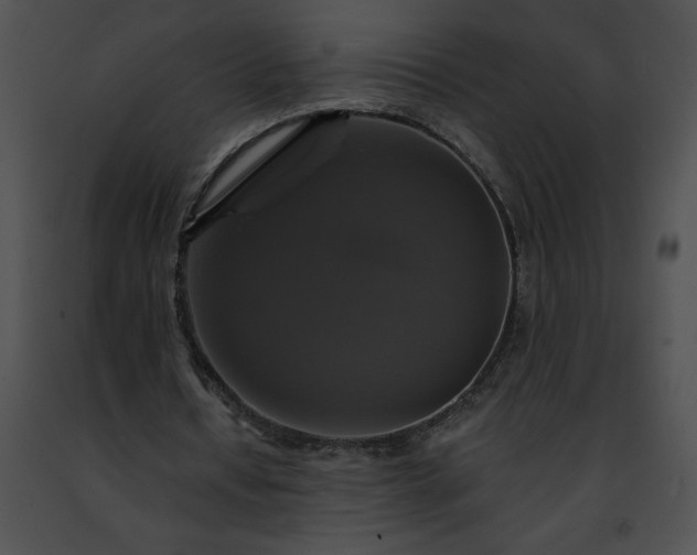 X0000091460434200708301834