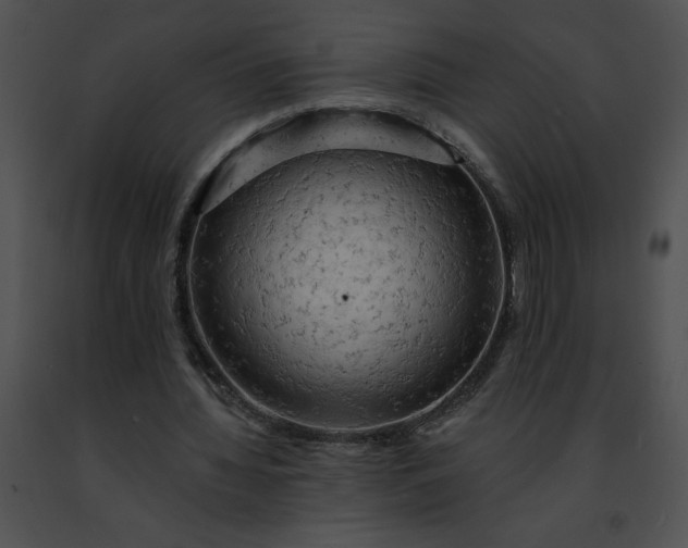 X0000091460436200708301835