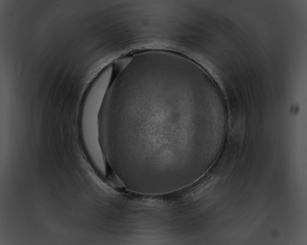 X0000091460437200708301835