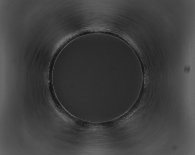 X0000091460438200708301835