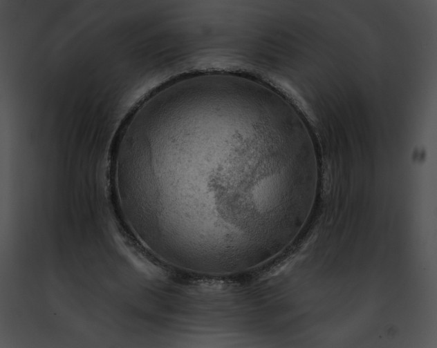 X0000091460439200708301835