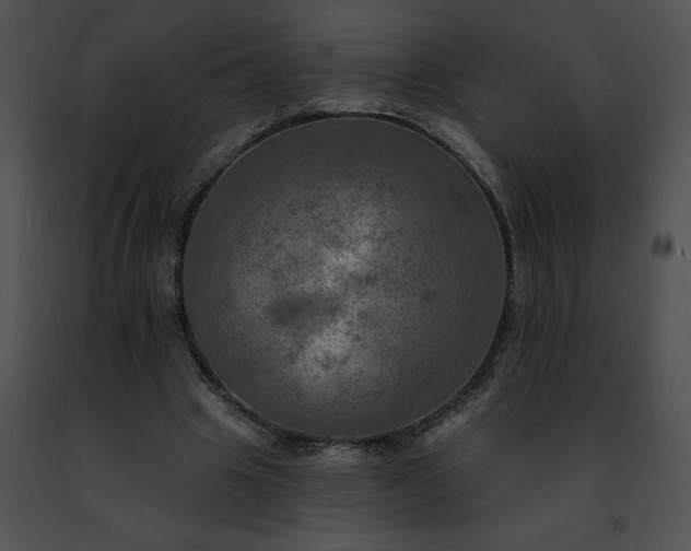 X0000091460441200708301835