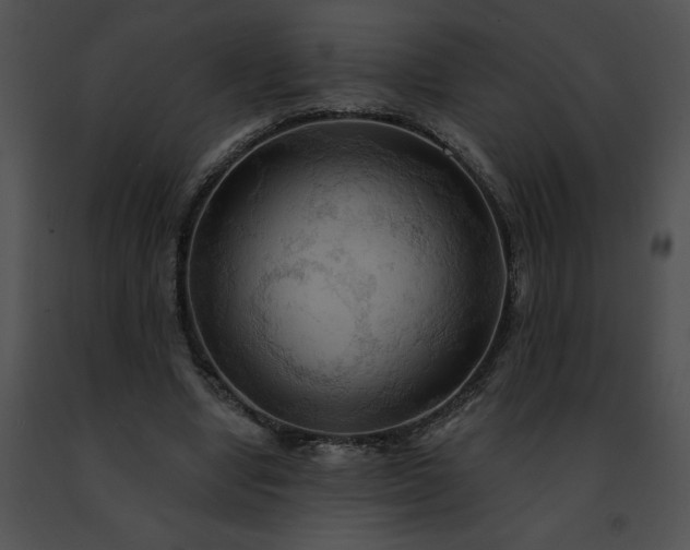 X0000091460442200708301835