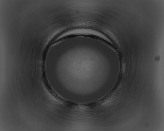 X0000091460444200708301835