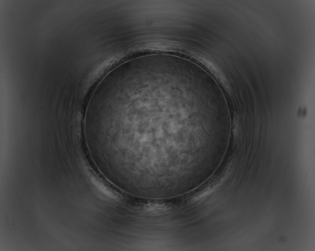 X0000091460445200708301835