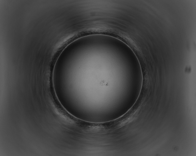 X0000091460446200708301835