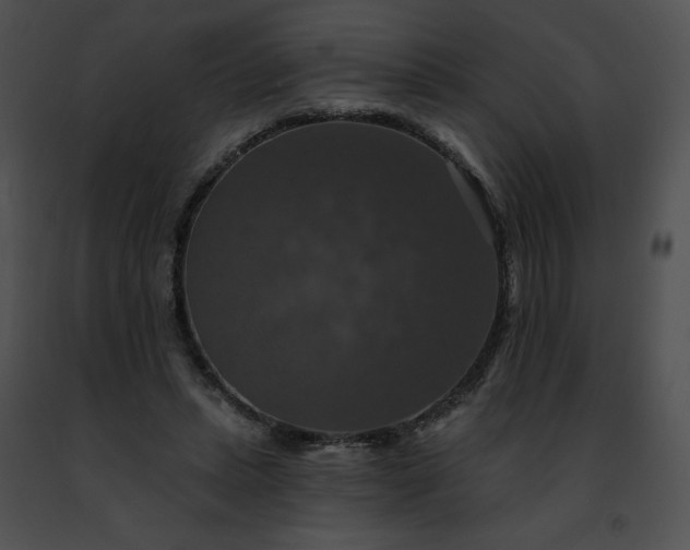 X0000091460447200708301835