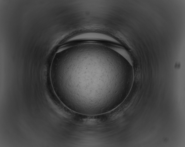 X0000091460448200708301835