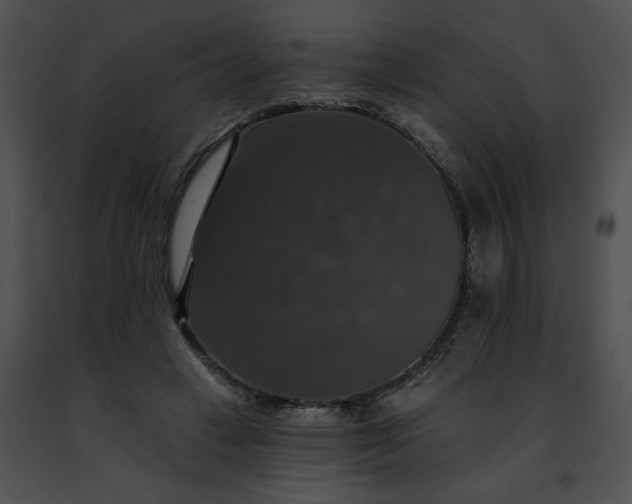 X0000091460449200708301835