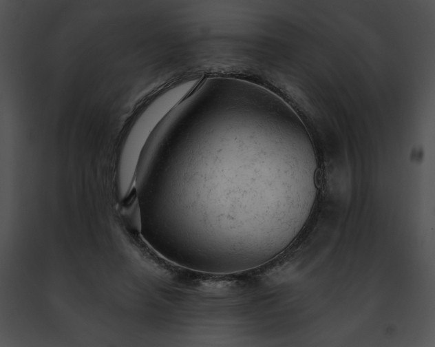 X0000091460450200708301835