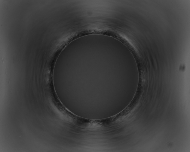 X0000091460451200708301835