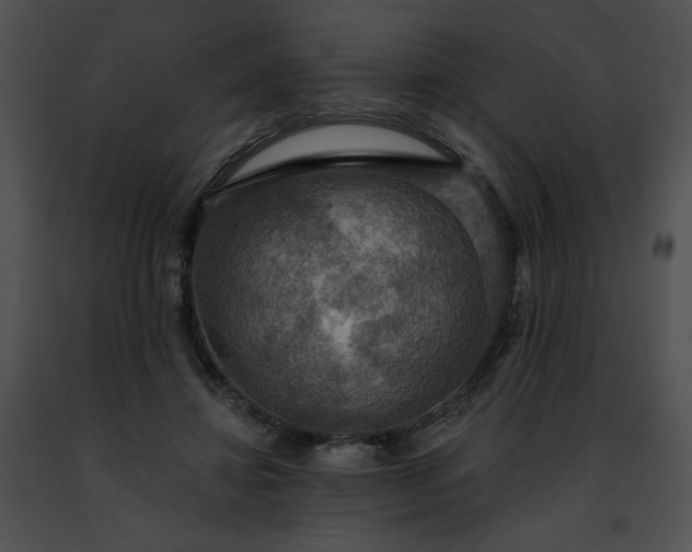 X0000091460452200708301835