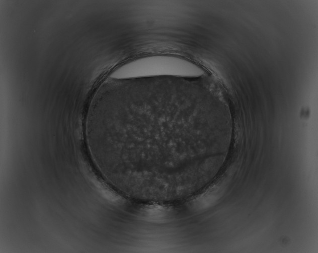 X0000091460453200708301835