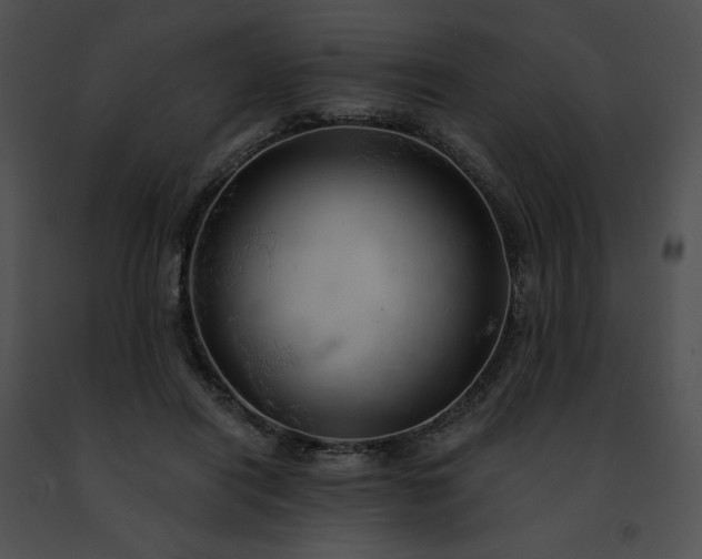 X0000091460454200708301835