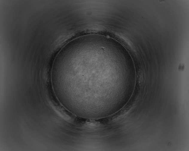 X0000091460455200708301835