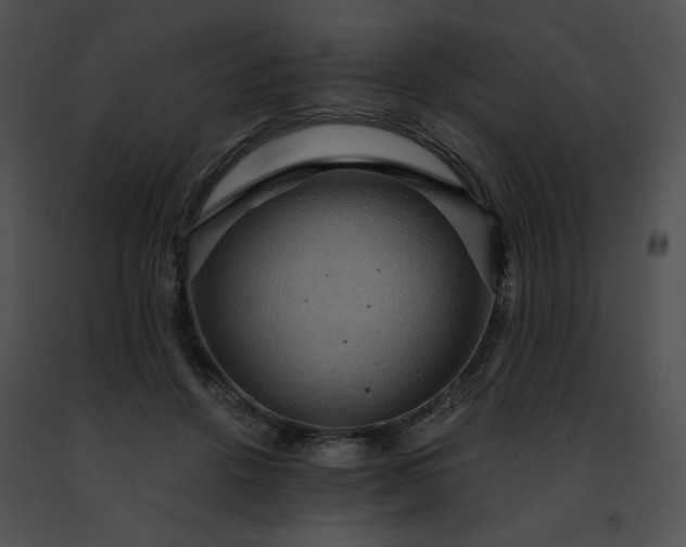 X0000091460456200708301835