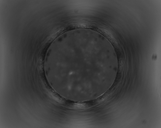 X0000091460457200708301835