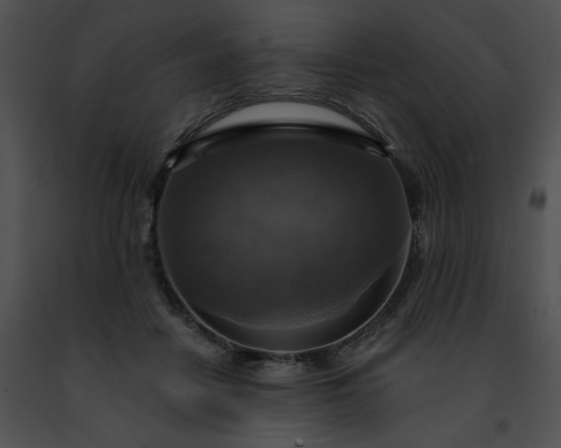 X0000091460458200708301835