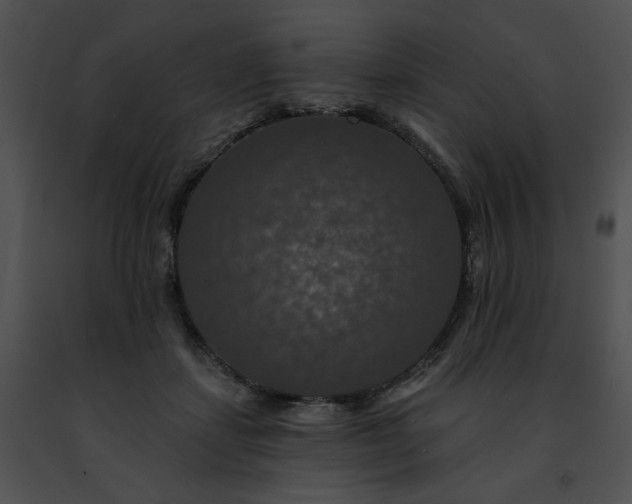 X0000091460459200708301835