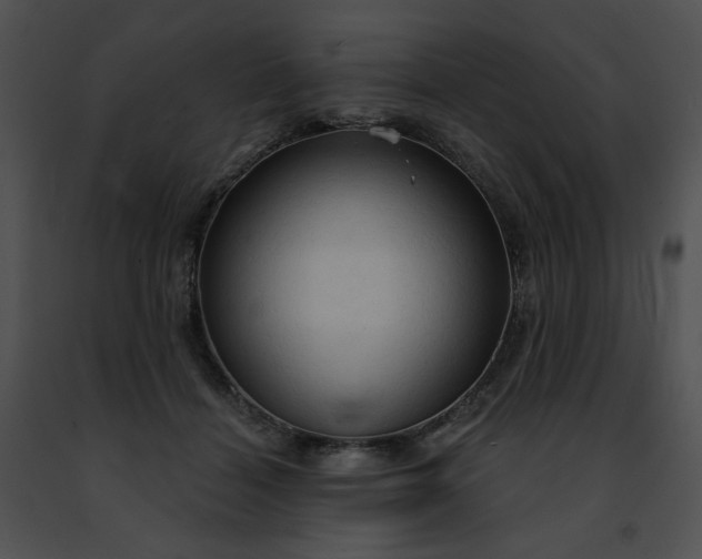 X0000091460460200708301835