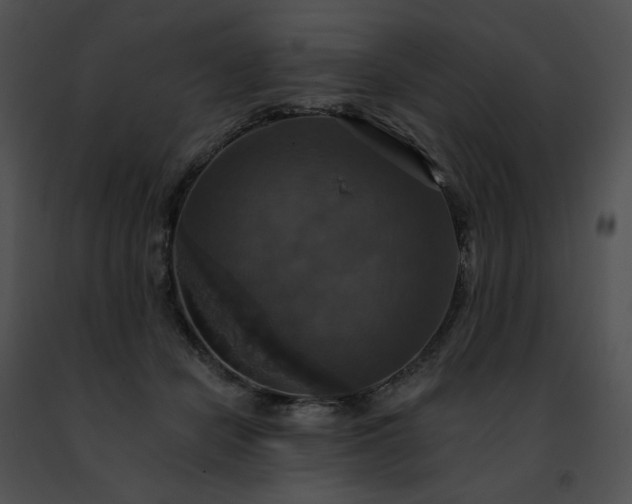 X0000091460462200708301835