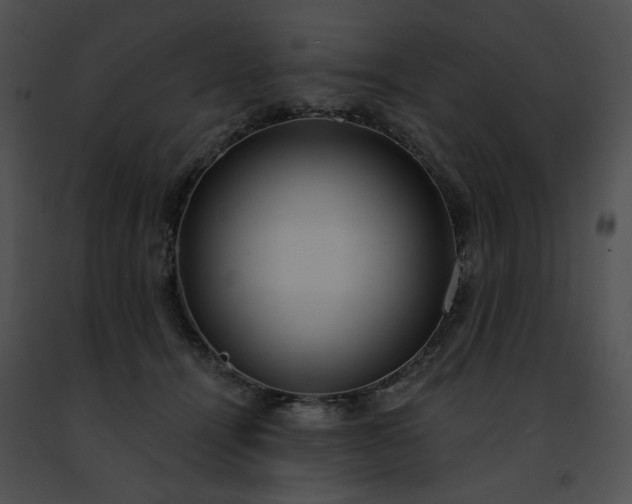 X0000091460464200708301835