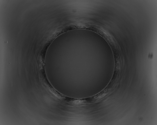 X0000091460465200708301835