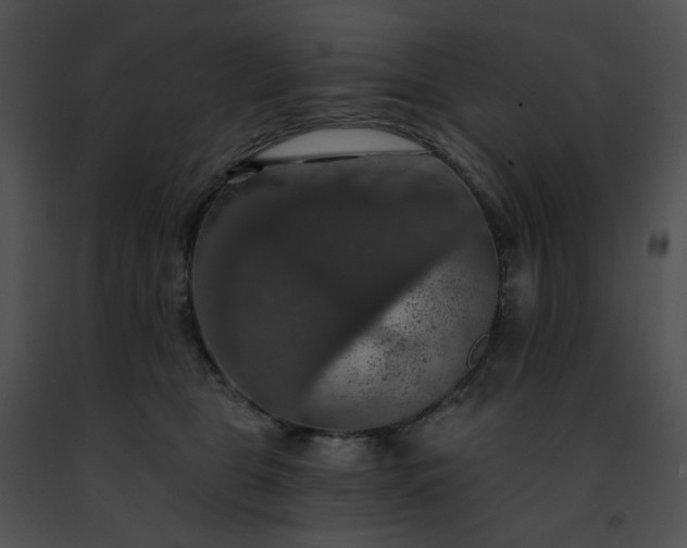 X0000091460469200708301835