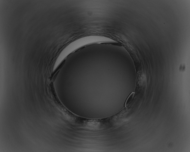 X0000091460471200708301835