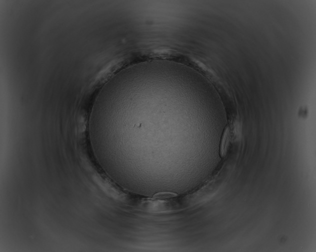 X0000091460472200708301835