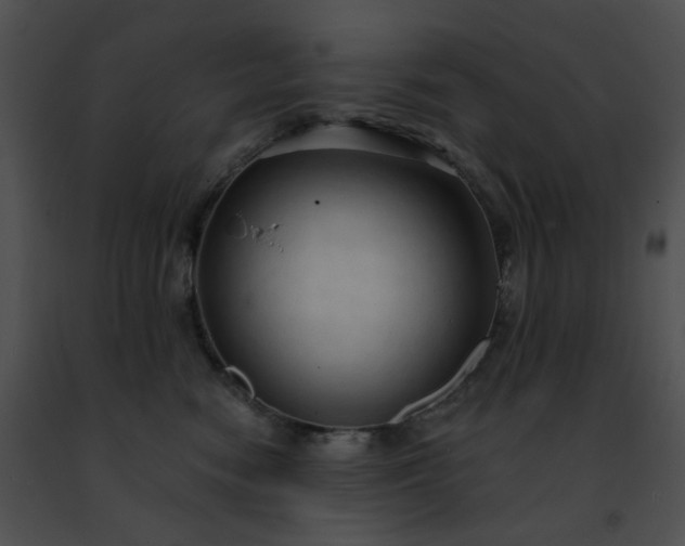 X0000091460474200708301835