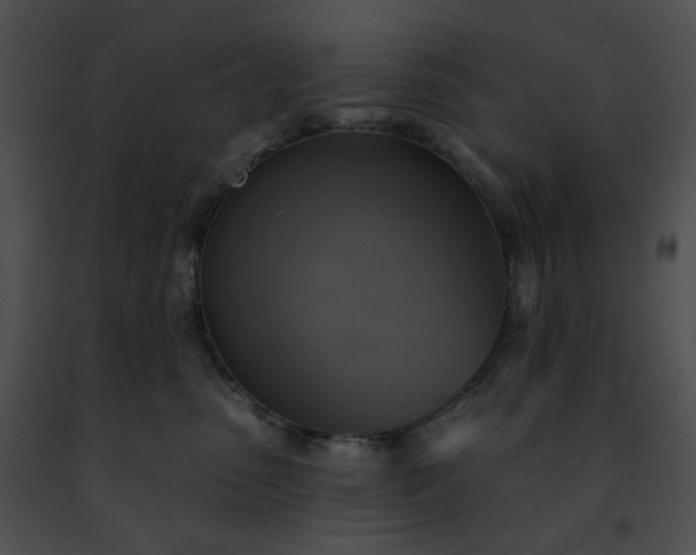 X0000091460475200708301835