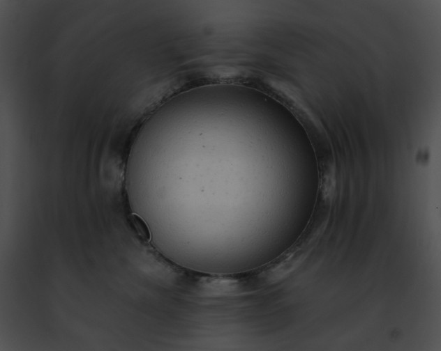 X0000091460476200708301835