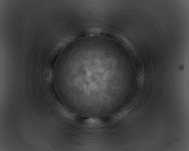 X0000091460477200708301835