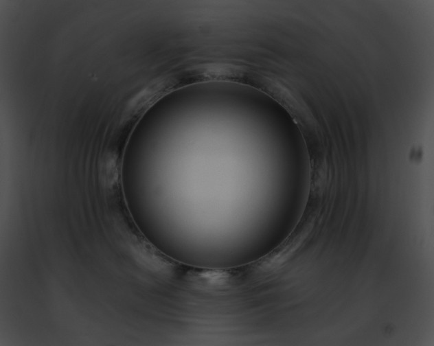 X0000091460478200708301835