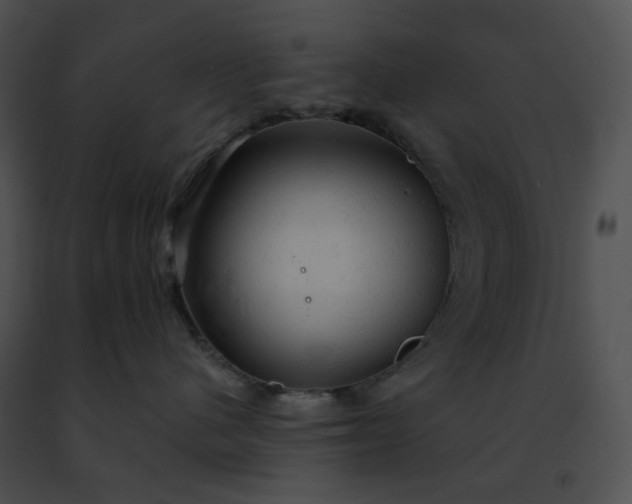 X0000091460480200708301835