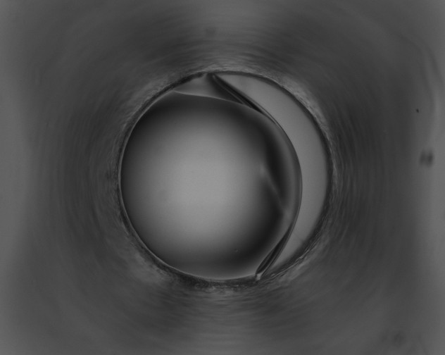 X0000091460481200708301834