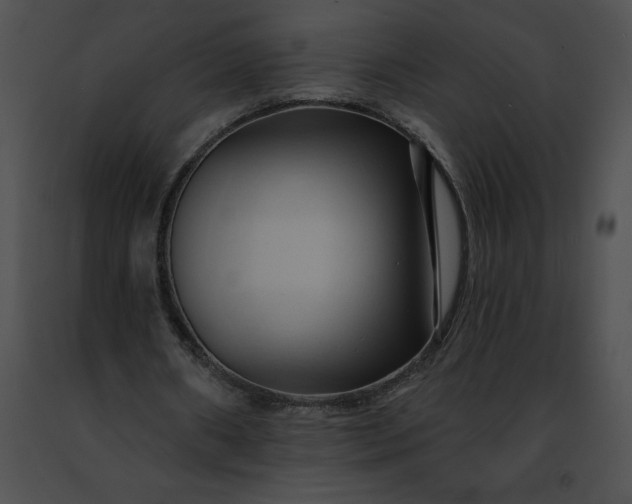 X0000091460482200708301834