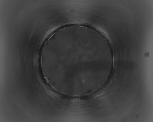 X0000091460483200708301834