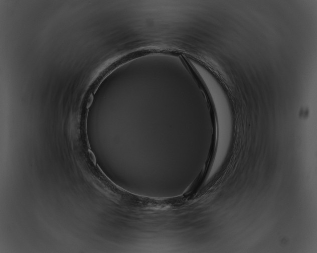 X0000091460484200708301834