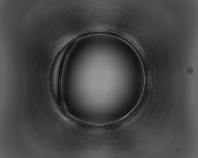 X0000091460485200708301834