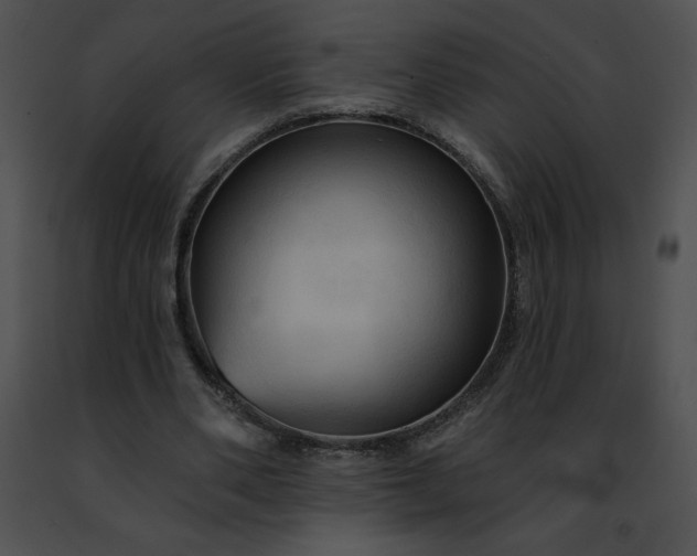 X0000091460486200708301834