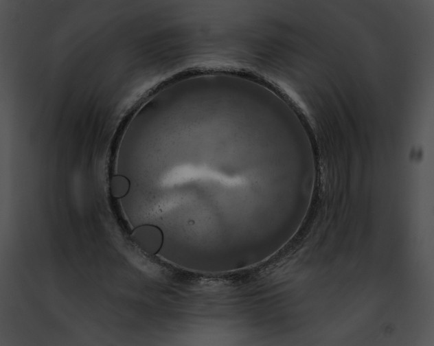 X0000091460487200708301834