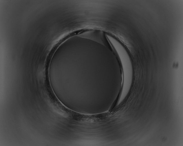 X0000091460488200708301834