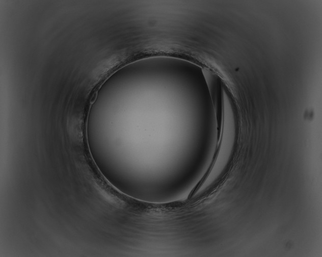 X0000091460489200708301834