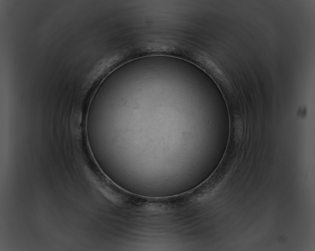 X0000091460490200708301834